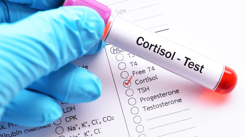 What is Cortisol? Why Does it Matter? Everything You Need to Know