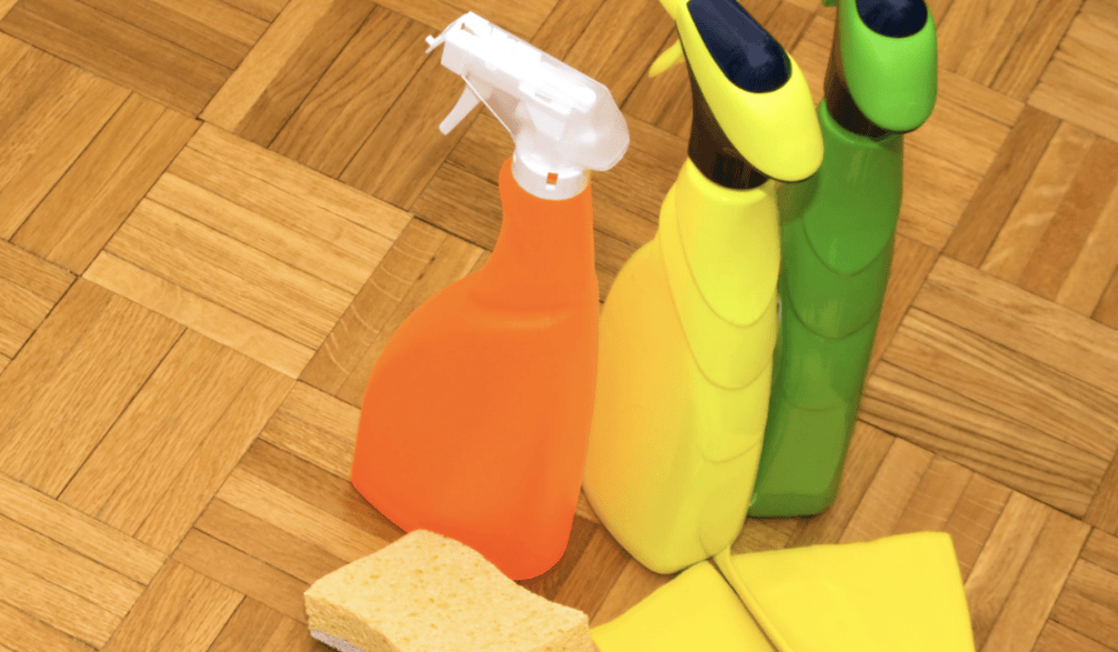 Chemicals in Household Cleaners
