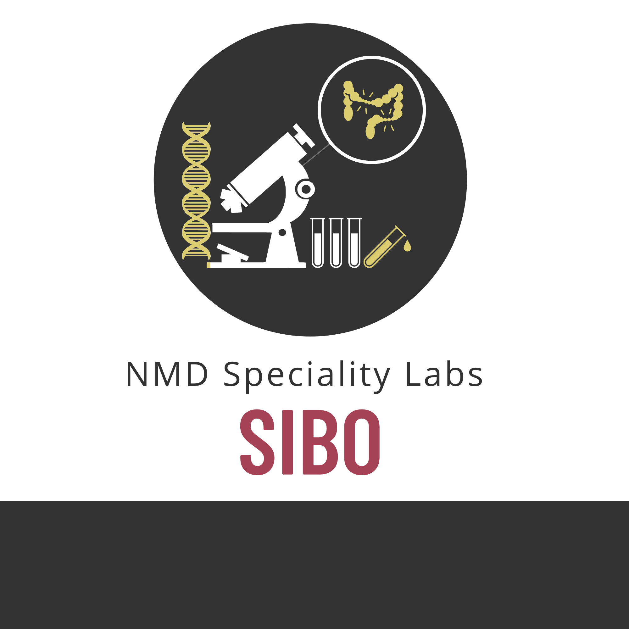 SIBO 3-Hour Breath Test