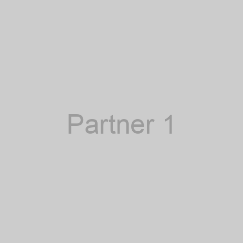 Partner 1